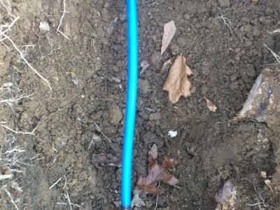 Water line repaired with a root in it