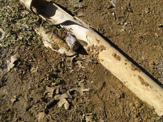 4 The cut out of the bad section of broken PVC pipe.jpg