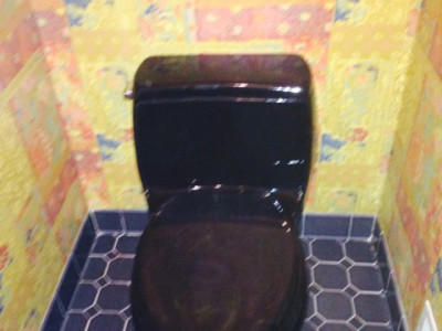 Black Toilet Installation
