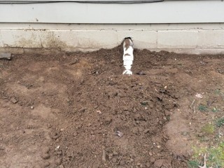 sewer_line_repair (13).JPG