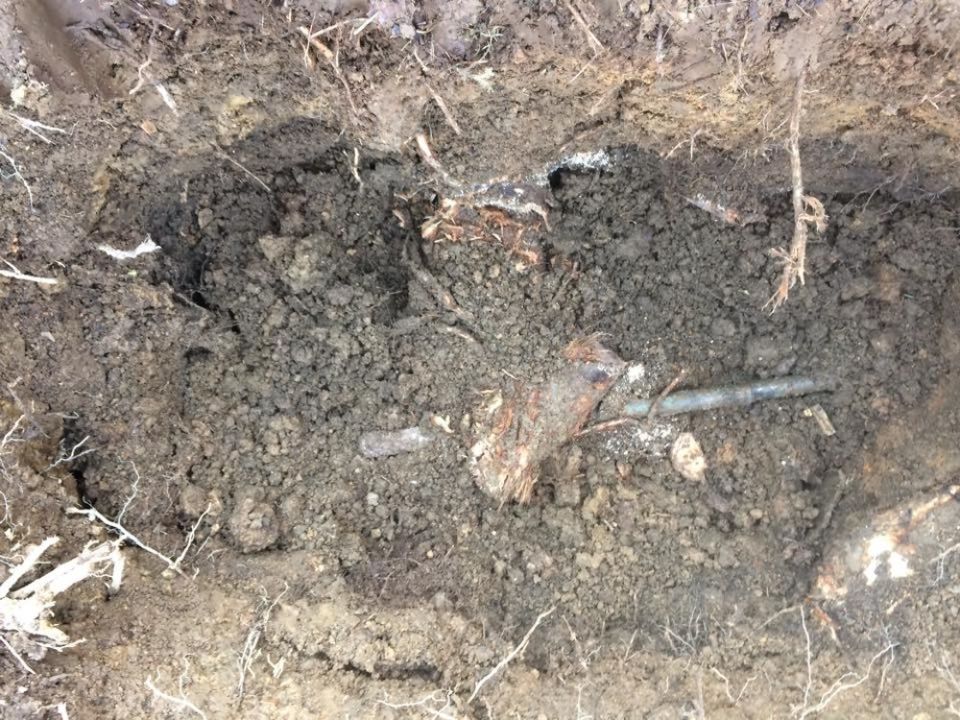 Water line repaired with a root in it