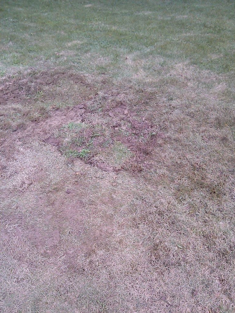 Fixing leaking pipe in Homewood, AL